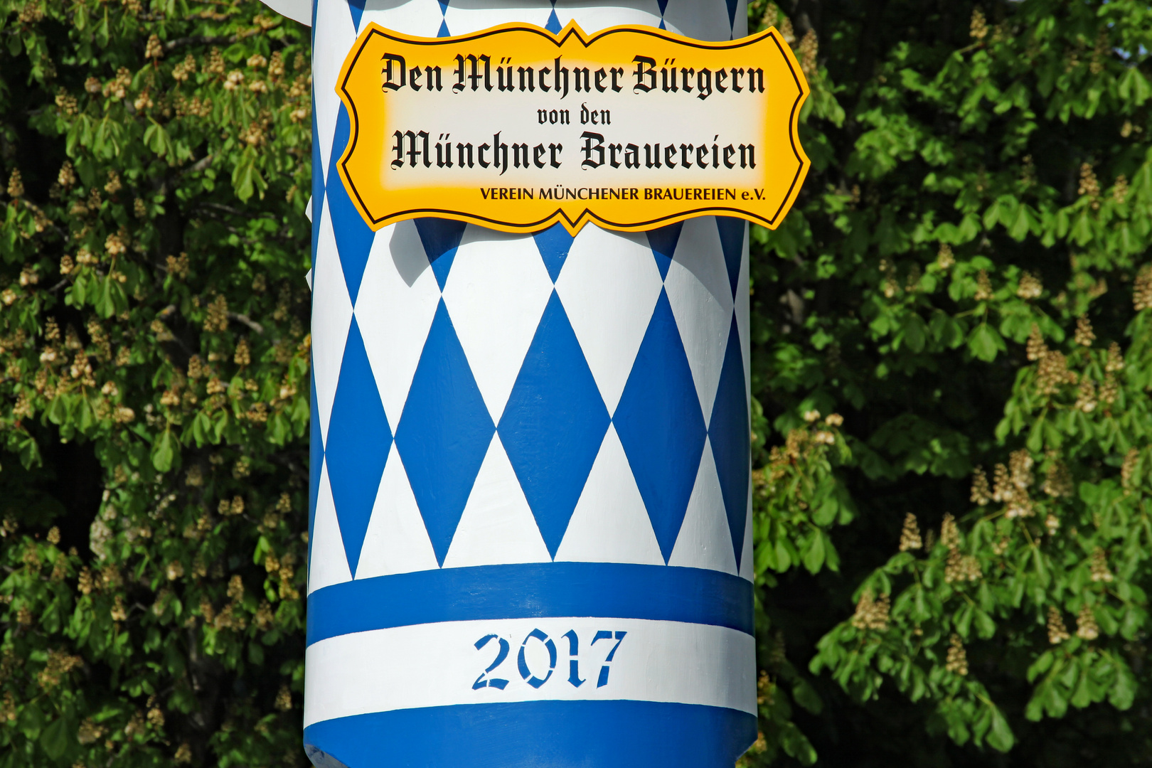 Maibaum 2017 Viktualienmarkt München