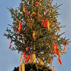 Maibaum 2024 in Stettfeld