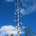 Maibaum