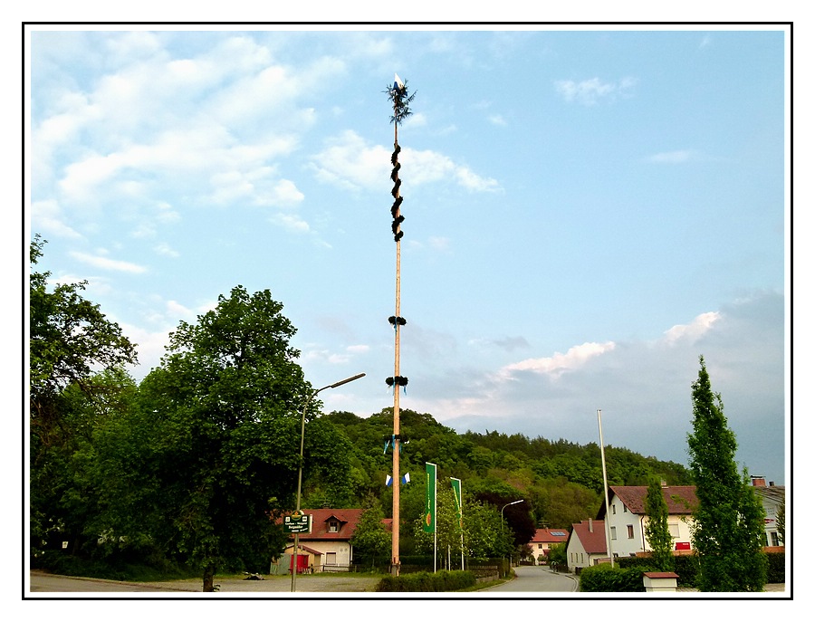 Maibaum