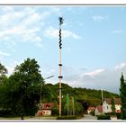 Maibaum