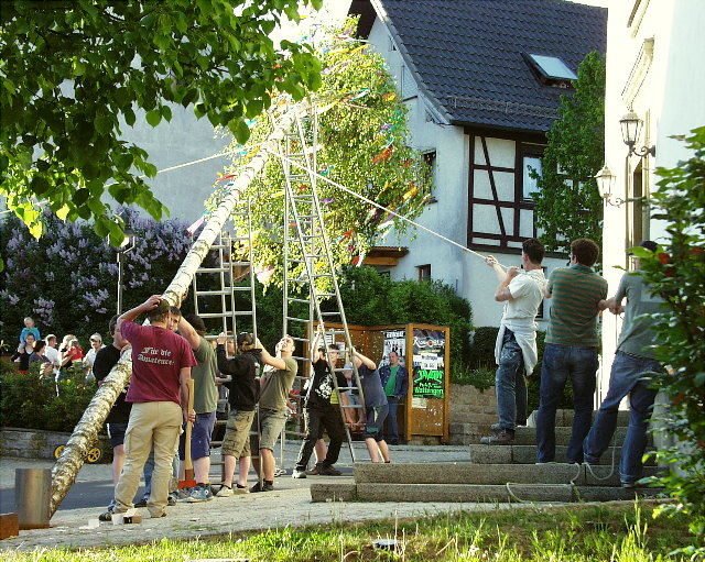 Maibaum angesägt ...