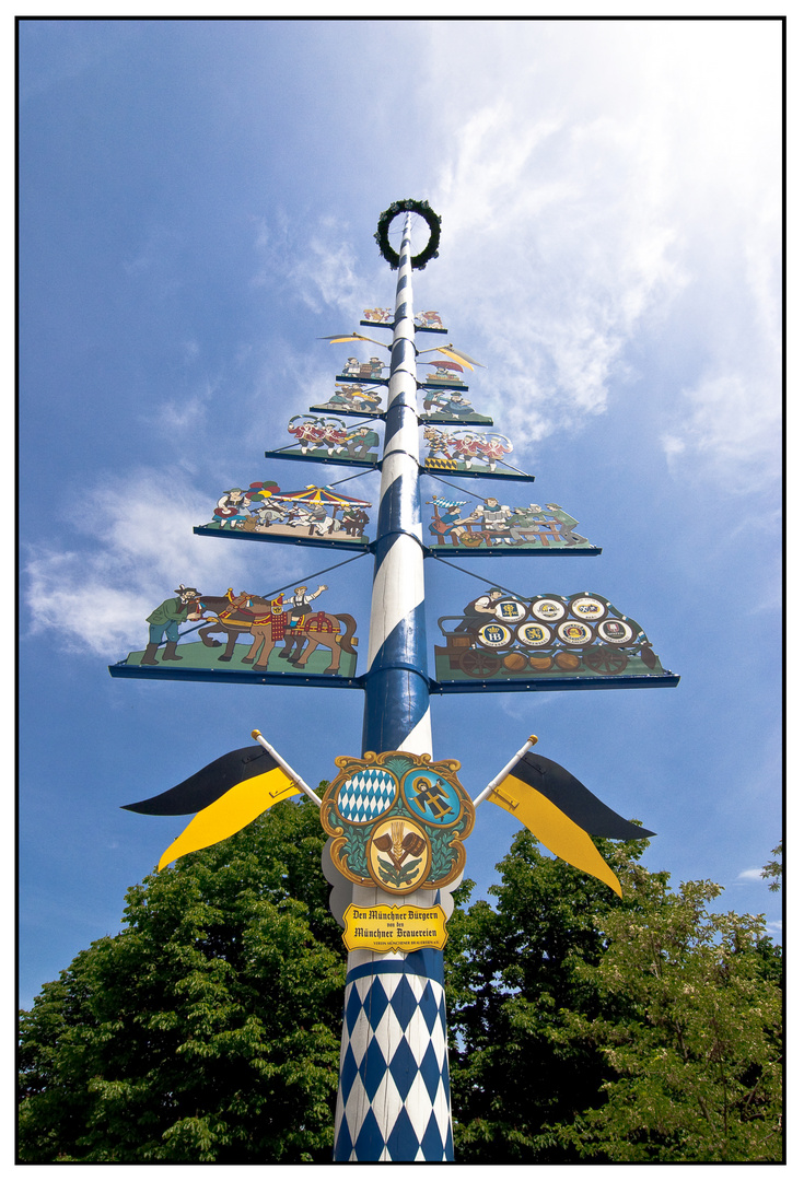 Maibaum auf dem Viktualienmarkt in München 01