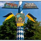 Maibaum auf dem Viktualienmarkt in München 02