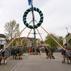 Maibaum Aufheben