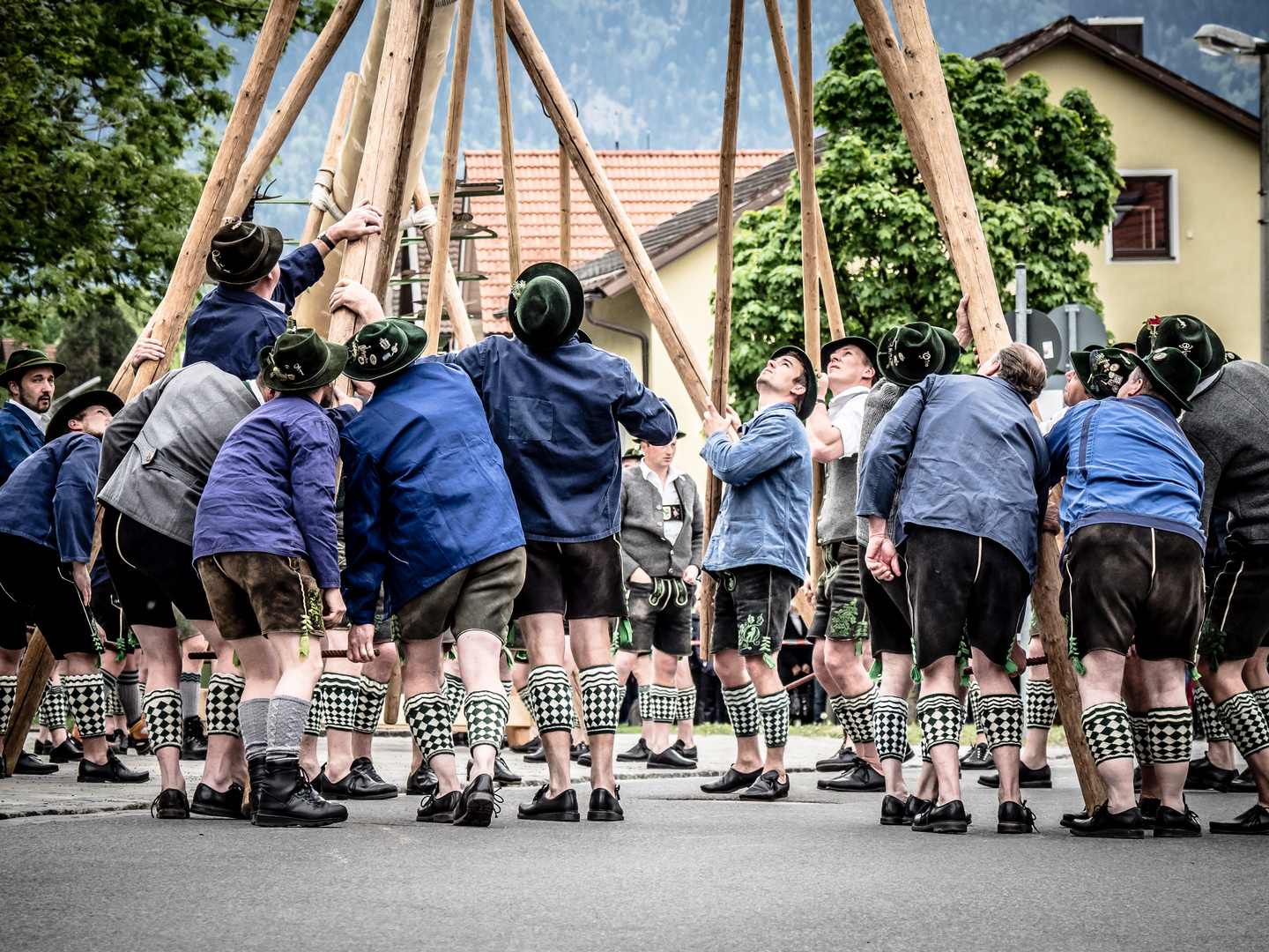 Maibaum aufrichten 