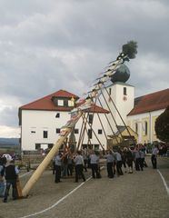 Maibaum aufstellen