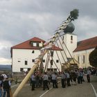 Maibaum aufstellen