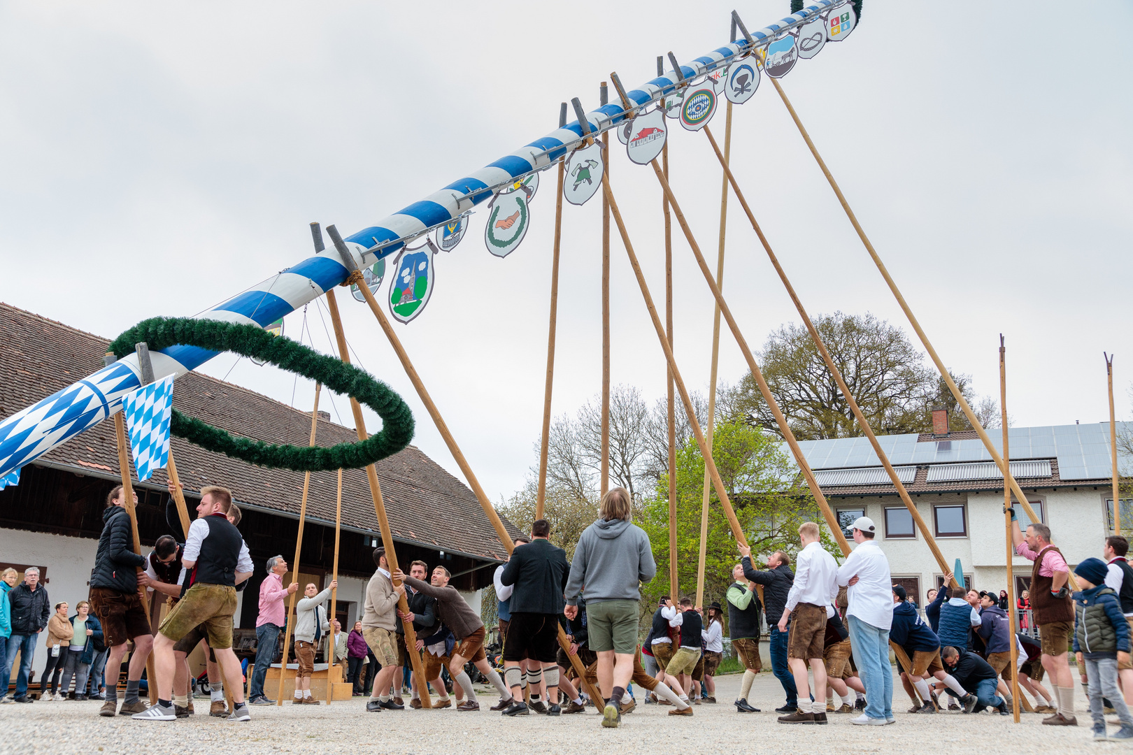 Maibaum aufstellen