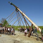 Maibaum aufstellen in Ellbach