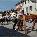 Maibaum aufstellen in Waidhofen / Ybbs