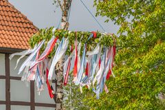 Maibaum 