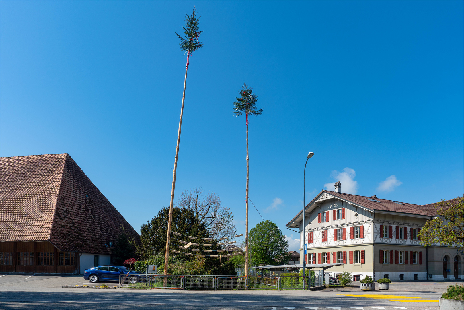 Maibaum- Brauch