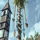 Maibaum