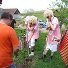 Maibaum Damen