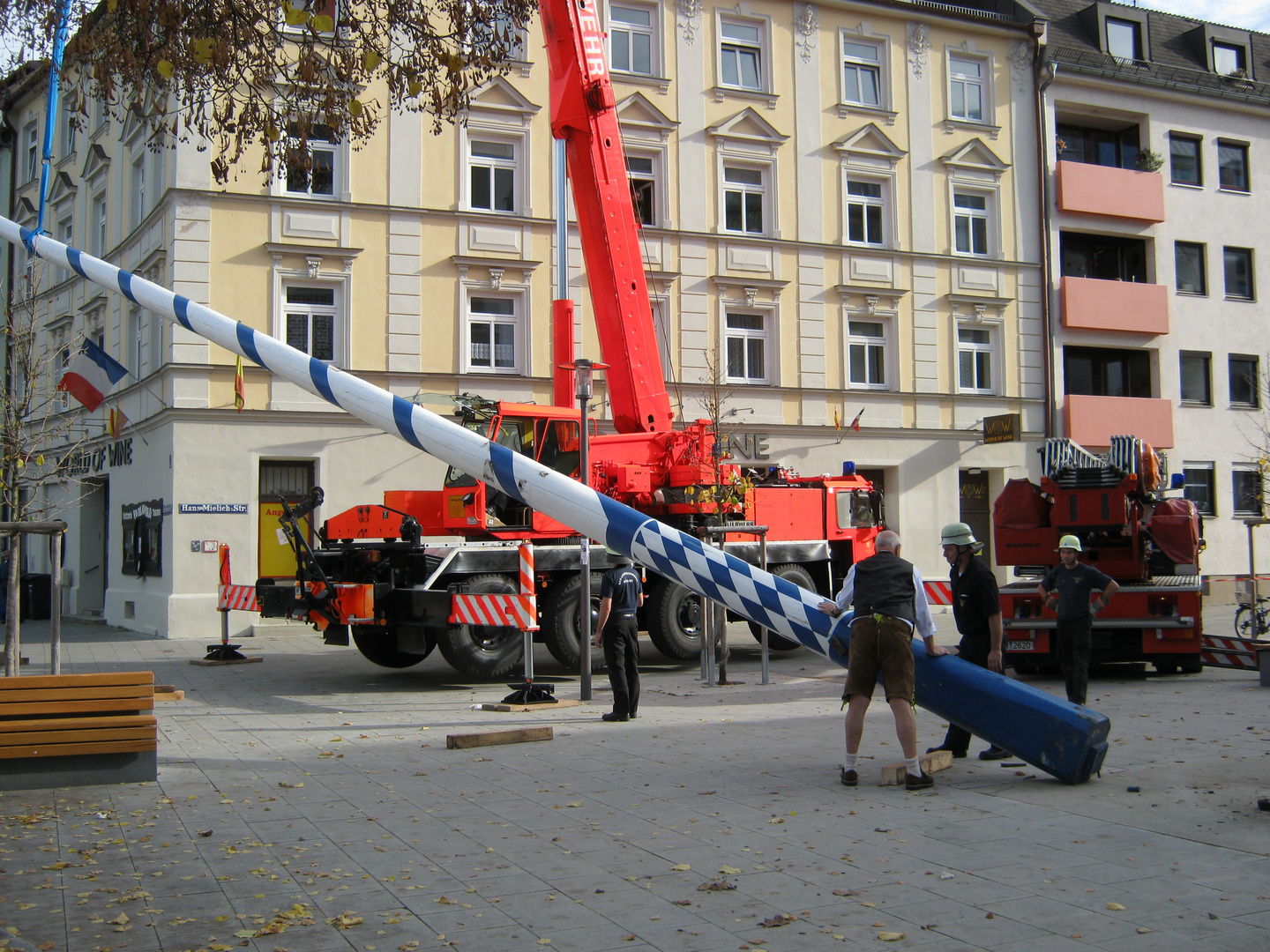 Maibaum fällt