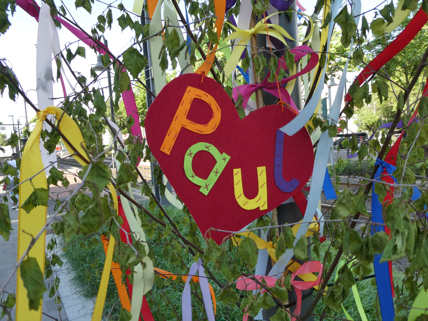 Maibaum für Paul