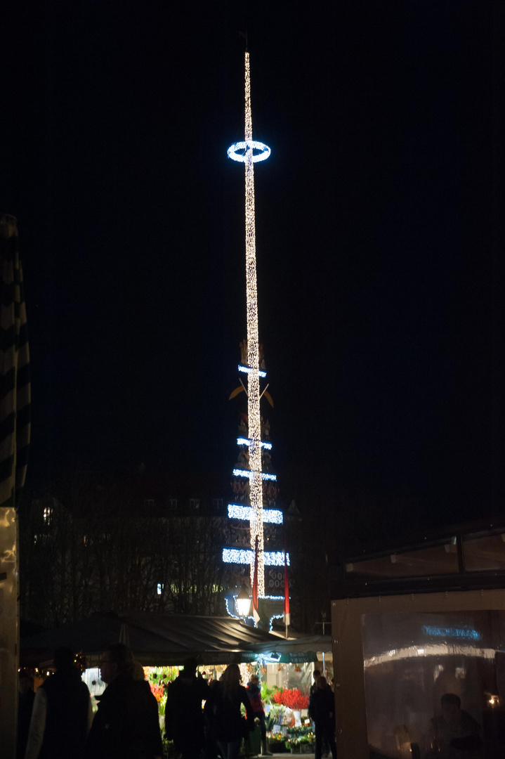 Maibaum im Advent