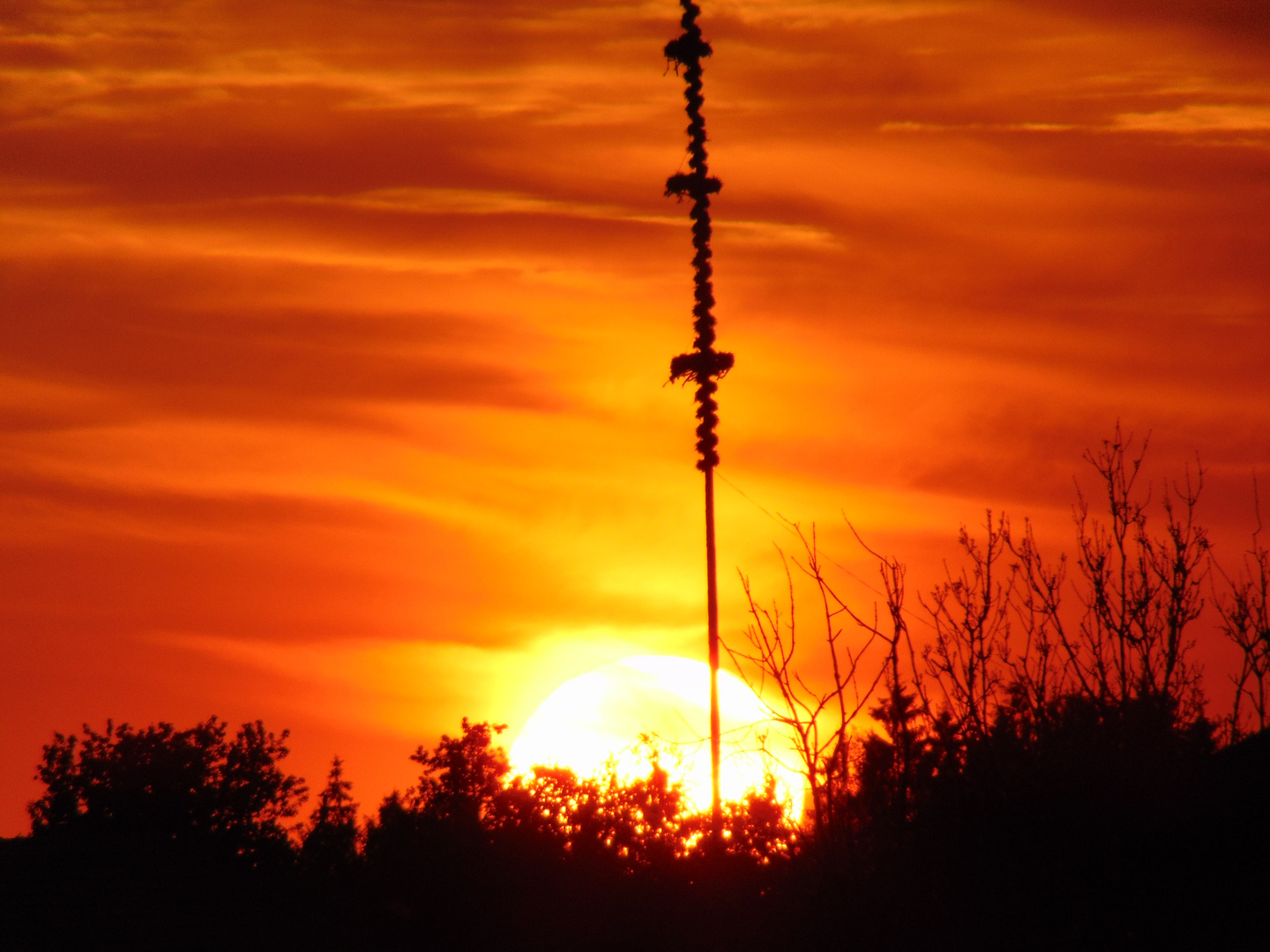 Maibaum im Sonnenuntergang