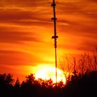 Maibaum im Sonnenuntergang