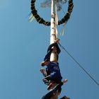 Maibaum in Altenriet