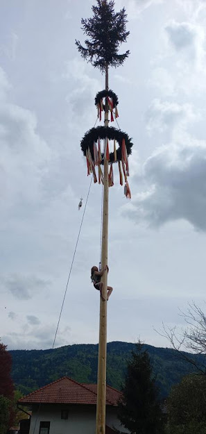 Maibaum in Bodensdorf