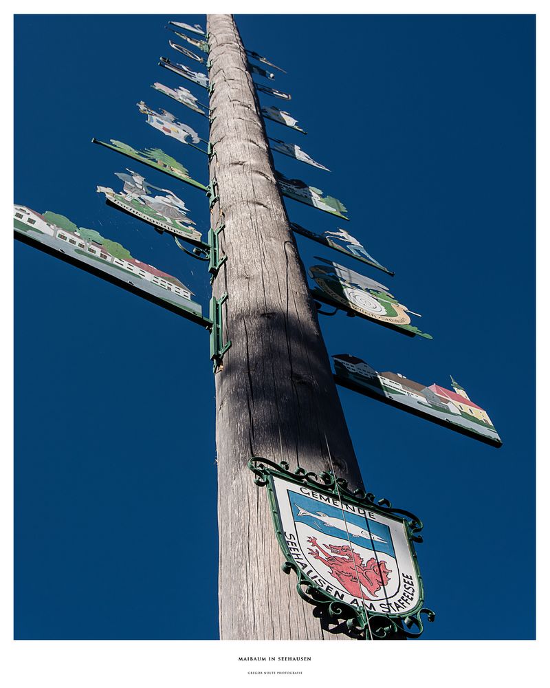 Maibaum in Seehausen am Staffelsee