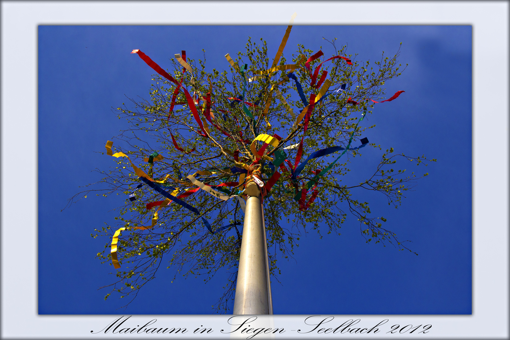 Maibaum in Siegen-Seelbach