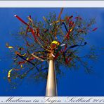 Maibaum in Siegen-Seelbach