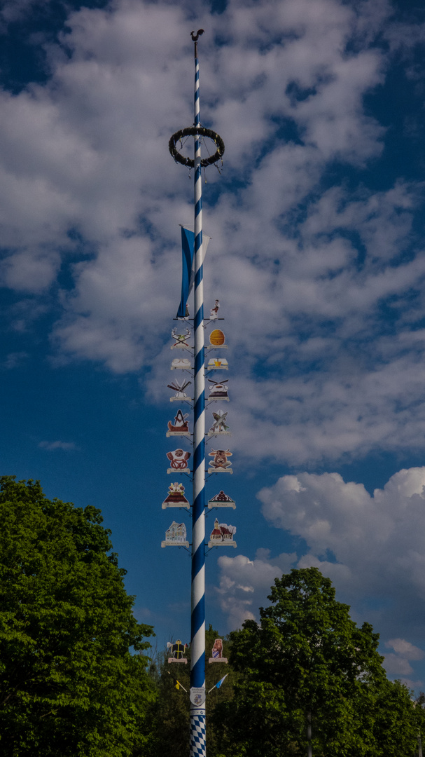 Maibaum in Thalkirchen