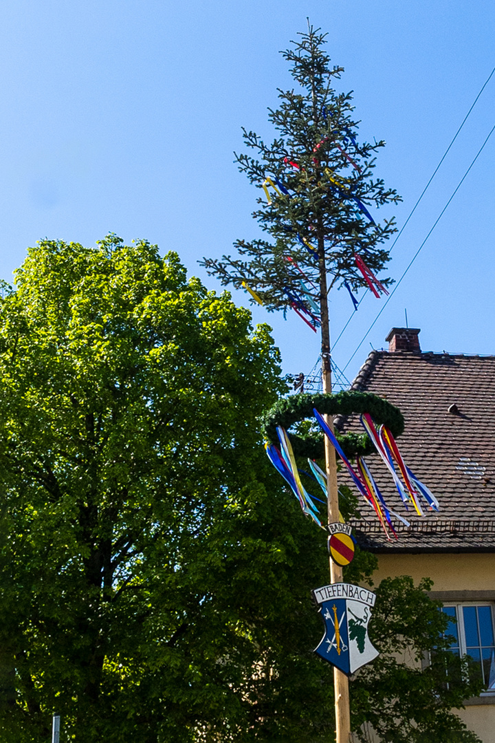 Maibaum in Tiefenbach