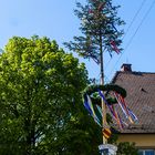 Maibaum in Tiefenbach