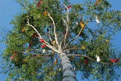 Maibaum in Warmbronn