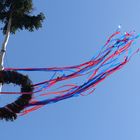 Maibaum in Werste