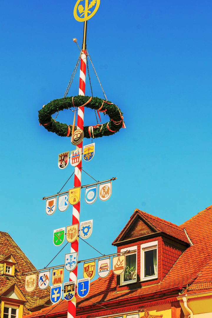 Maibaum mit hübschen Zunftwappen