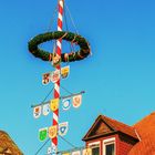 Maibaum mit hübschen Zunftwappen