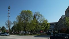 Maibaum Noitzmühle Wels