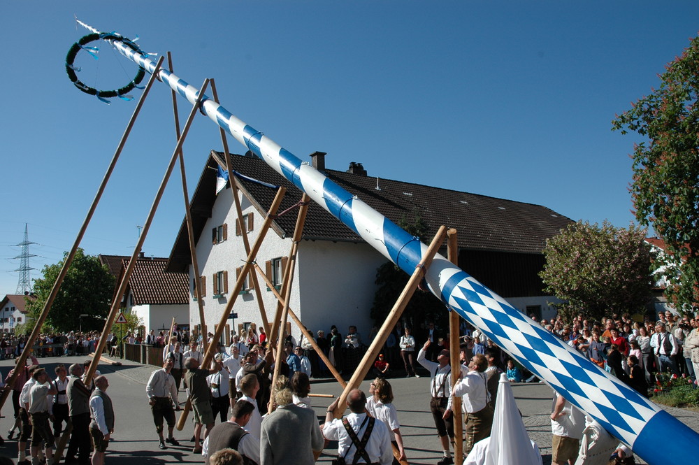 Maibaum Perchting 2007