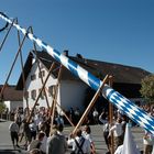 Maibaum Perchting 2007