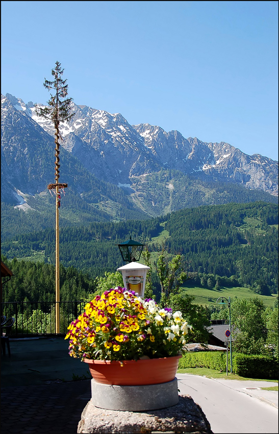 Maibaum und Grimming