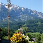 Maibaum und Grimming