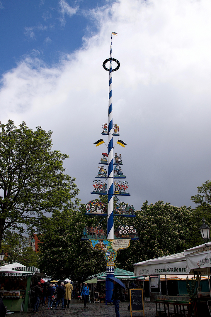 Maibaum Viktualienmarkt