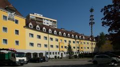 Maibaum Vogleweide Wels