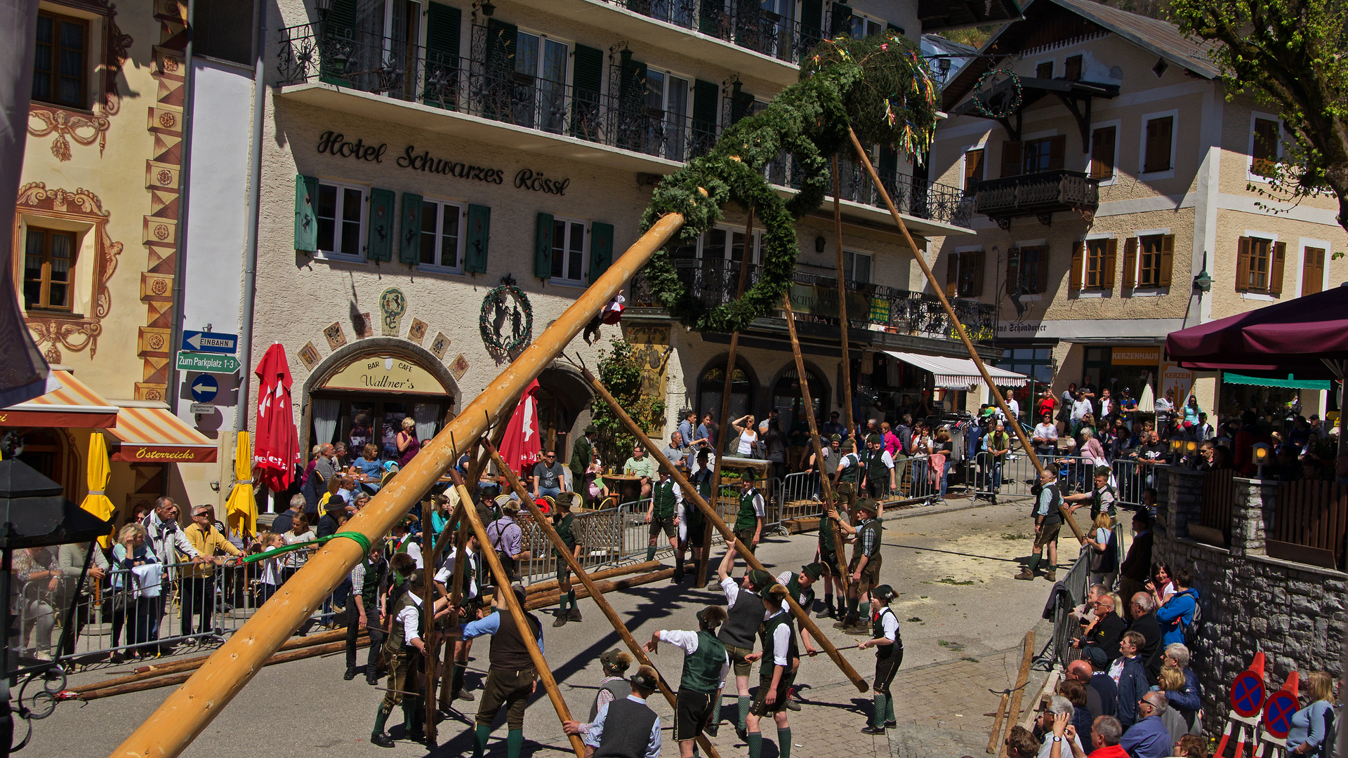 Maibaum wird aufgestellt