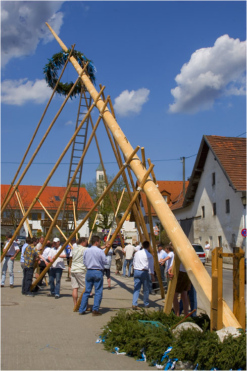 Maibaumaufstellen bei Bilderbuchwetter