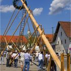 Maibaumaufstellen bei Bilderbuchwetter