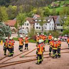 Maibaumaufstellung in Ottenhöfen