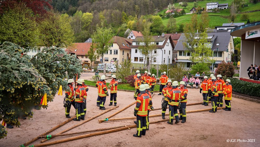 Maibaumaufstellung in Ottenhöfen