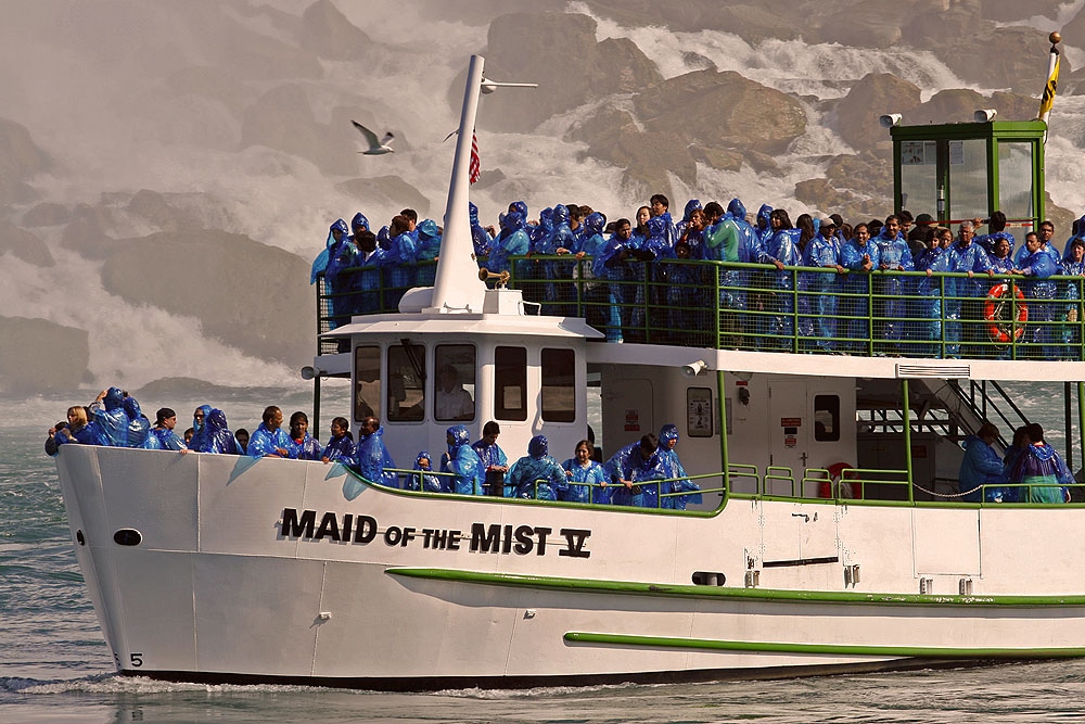 MAID of the MIST