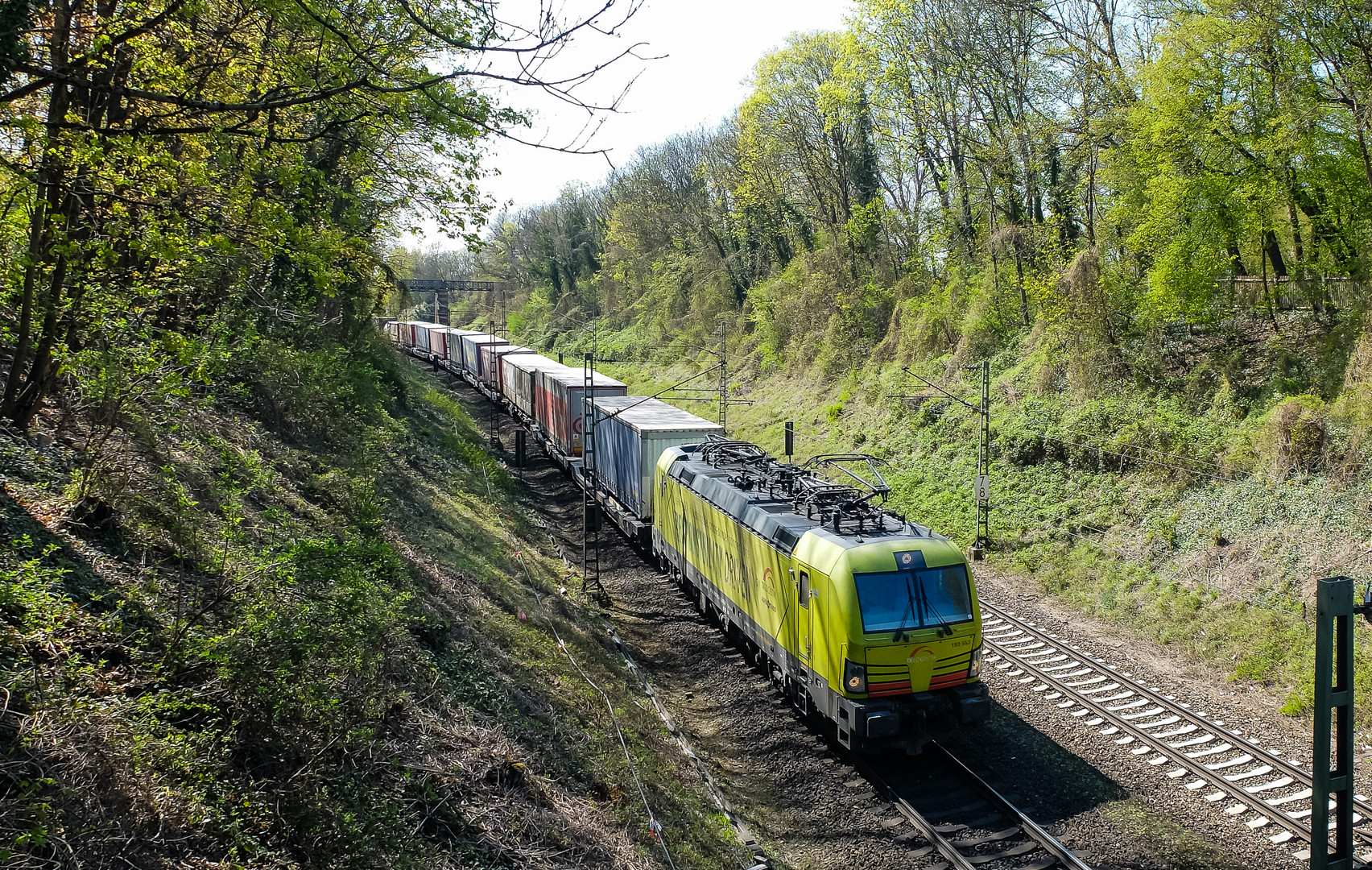 Maiengrün im April ...